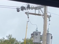 &nbsp;&nbsp;transformed.mp4 (1209 KB)&nbsp;&nbsp;