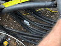 &nbsp;&nbsp;terminator.mp4 (16 MB)&nbsp;&nbsp;