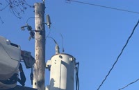 &nbsp;&nbsp;2026.02.18 16.51.03&nbsp;&nbsp;