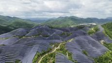   solar in the jungle  