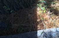 &nbsp;&nbsp;2015.10.17 fox-1&nbsp;&nbsp;