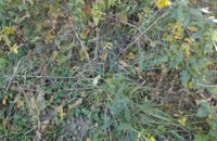 &nbsp;&nbsp;2022.10.17 hidden&nbsp;&nbsp;