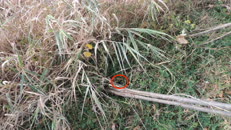 &nbsp;&nbsp;2023.11.11 fox-2 there&nbsp;&nbsp;