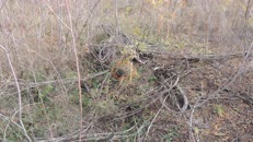 &nbsp;&nbsp;2023.11.11 fox-3-2 there&nbsp;&nbsp;