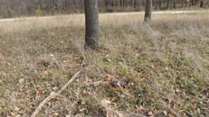 &nbsp;&nbsp;2023.11.11 fox-4-1 there&nbsp;&nbsp;