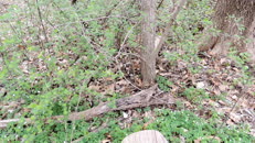 &nbsp;&nbsp;2024.04.20 fox-3-2 hidden&nbsp;&nbsp;