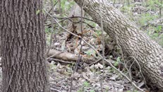 &nbsp;&nbsp;2024.04.20 fox-6 there&nbsp;&nbsp;