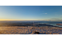 &nbsp;&nbsp;lonely node&nbsp;&nbsp;