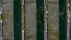 &nbsp;&nbsp;IMG00003&nbsp;&nbsp;