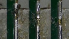 &nbsp;&nbsp;IMG00005&nbsp;&nbsp;