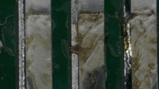 &nbsp;&nbsp;IMG00007&nbsp;&nbsp;