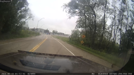 20260519_015331_MF goose crossing.mp4 (187 MB)
