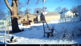 2022.01.21 09.22.26 crows gettin a drink.MOV (214 MB)