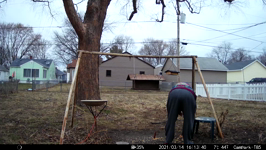 2021.03.14 16.16.30.MP4 (49 MB)