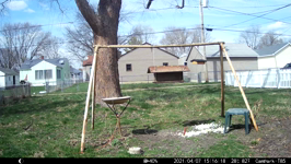 2021.04.07 15.19.10.MP4 (17 MB)