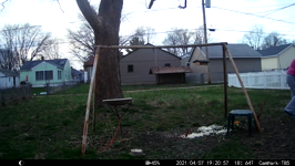 2021.04.07 19.23.46.MP4 (26 MB)