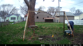 2021.04.09 18.15.36 dropping off apples.MP4 (35 MB)