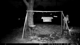 2021.04.10 21.06.24 MML dropping off food by flashlight.MP4 (11 MB)