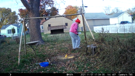 2021.11.07 17.03.54 MML feeding.MP4 (99 MB)