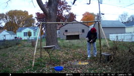 2021.11.10 11.42.42 MML scraps.MP4 (24 MB)