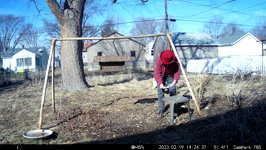2023.02.19 14.24.28 MML feeding birds.MP4 (51 MB)