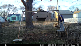 2023.04.02 18.17.56 mml feeding.MP4 (75 MB)