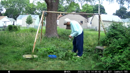 2023.06.10 14.44.36 mml dumping food.MP4 (16 MB)