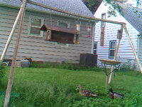 2011.06.03 06.55.22.mp4 (13 MB)