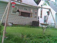 2011.06.04 07.59.56 3 ducks.mp4 (13 MB)