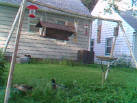 2011.06.06 07.10.34.mp4 (12 MB)