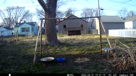 2022.04.21 19.01.10 ducks.mp4 (211 MB)