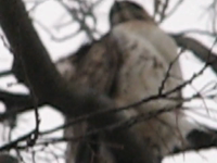 &nbsp;&nbsp;2009.04.09 19.39.27.mp4 (12 MB)&nbsp;&nbsp;