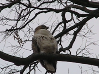 &nbsp;&nbsp;2009.04.09 19.40.50.mp4 (3 MB)&nbsp;&nbsp;