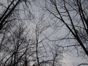 &nbsp;&nbsp;2008.04.23 19.23.11&nbsp;&nbsp;