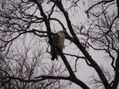 &nbsp;&nbsp;2009.04.09 19.35.58&nbsp;&nbsp;