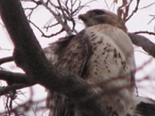 &nbsp;&nbsp;2009.04.09 19.40.08&nbsp;&nbsp;