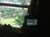   2016.09.05 13.15.00  