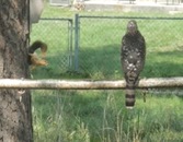 &nbsp;&nbsp;2020.09.15 14.12.19 zoomed&nbsp;&nbsp;