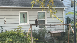 &nbsp;&nbsp;2025.10.24 16.58.45.MOV (154 MB)&nbsp;&nbsp;