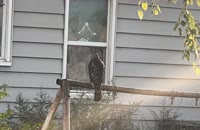 &nbsp;&nbsp;2025.10.24 17.00.38&nbsp;&nbsp;