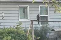 &nbsp;&nbsp;IMG_4721&nbsp;&nbsp;