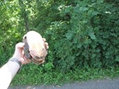   2007.06.10 15.47.25  