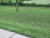 2008.06.22 19.00.25