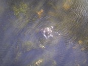   2002.05.06 14.53.35  
