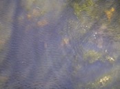   2002.05.06 14.53.43  