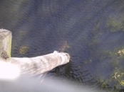   2002.05.06 14.53.49  