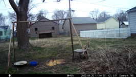 2022.04.20 11.10.44 chipmonk.MOV (214 MB)