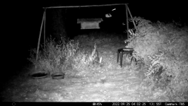 &nbsp;&nbsp;2022.09.25 04.02.16 stumpy treat.MOV (214 MB)&nbsp;&nbsp;