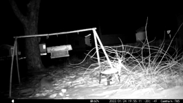 2022.01.24 19.55.02 coon sampling the bath food.MOV (214 MB)