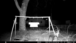2022.03.10 01.44.46 coon snack.MOV (215 MB)